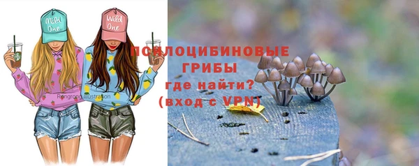 не бодяженный Магадан