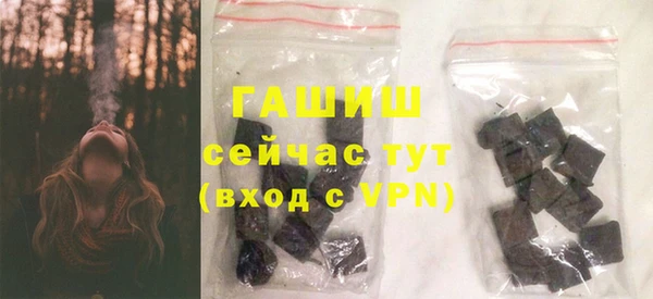 крисы Мегион