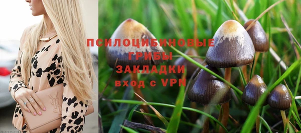 не бодяженный Магадан