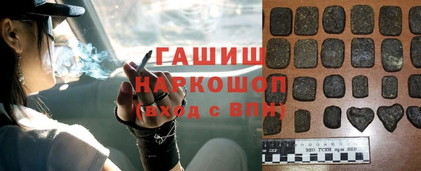 крисы Мегион