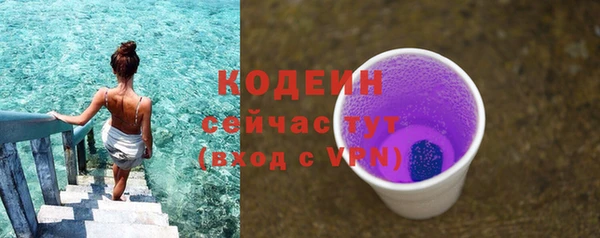 МДПВ Липки
