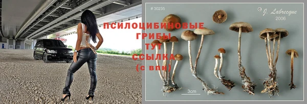 не бодяженный Магадан